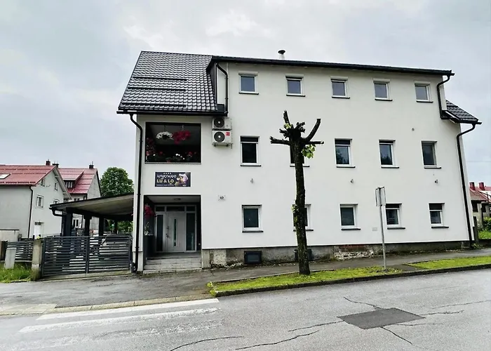 With Parking Space Delnice, Gorski Kotar - 21611 Daire